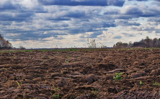 Gehimmelt und geerdet. © butkovicdub/morguefile.com
